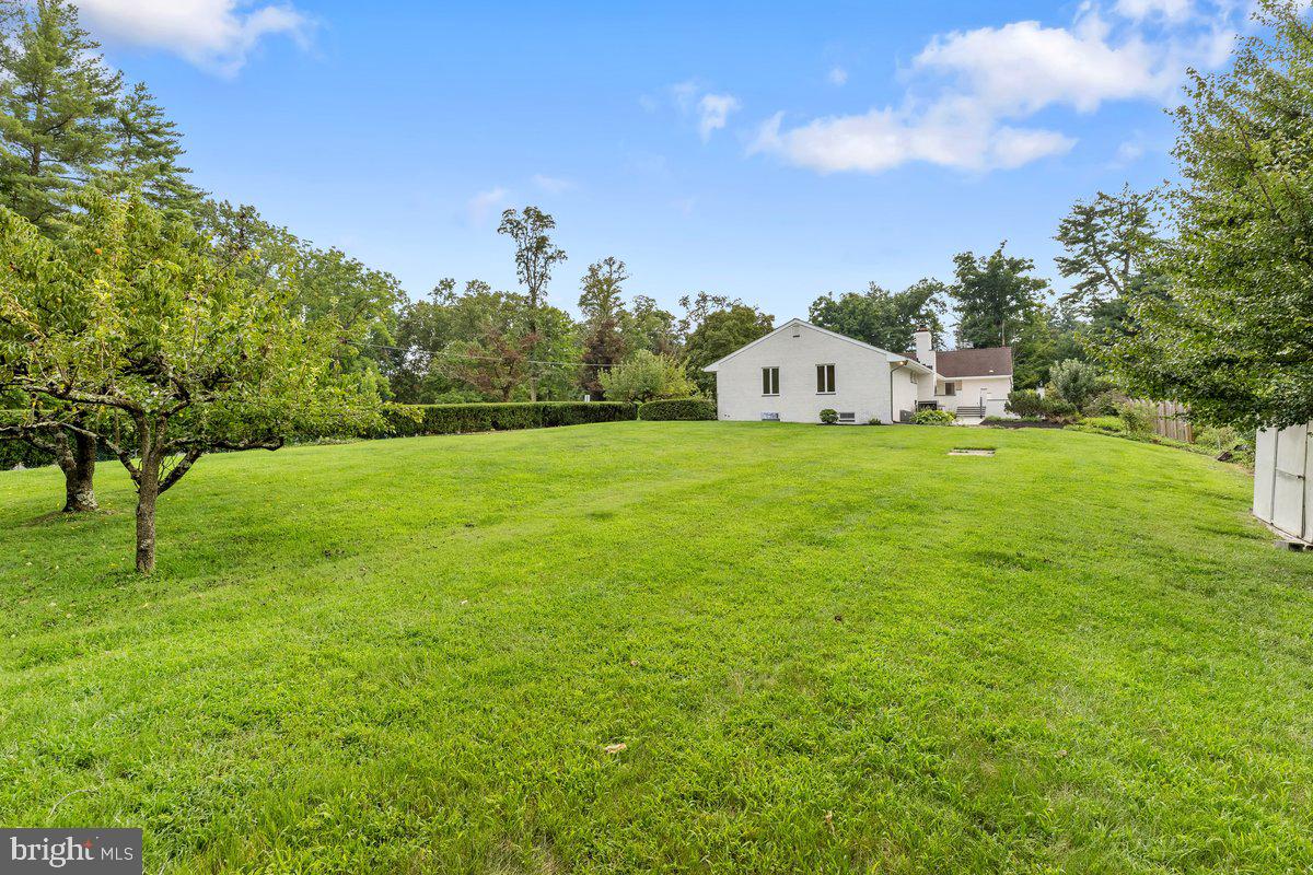 562 Prospect Ave Property Photo 33