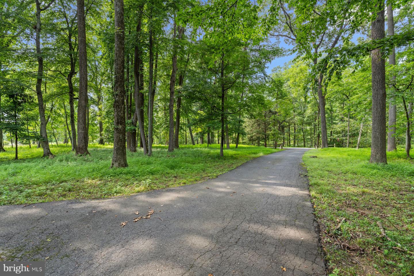 42 Harbourton Woodsville Property Photo 44