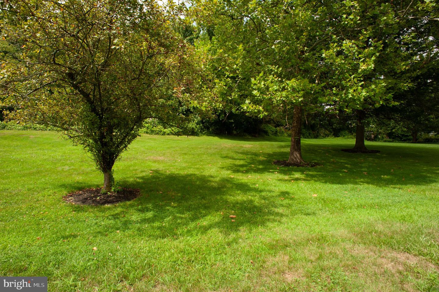 6 Wellington Property Photo 10