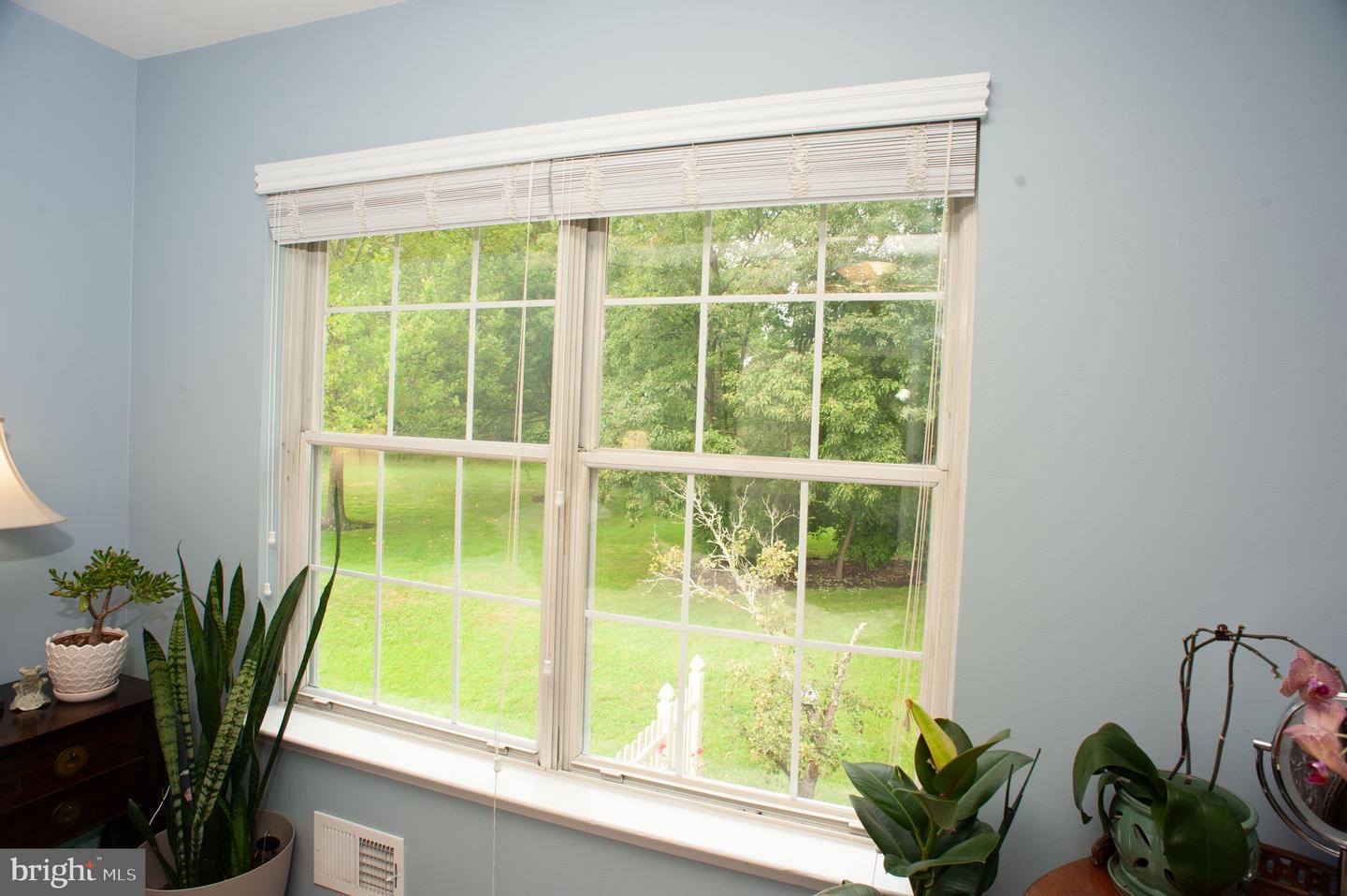 6 Wellington Property Photo 30