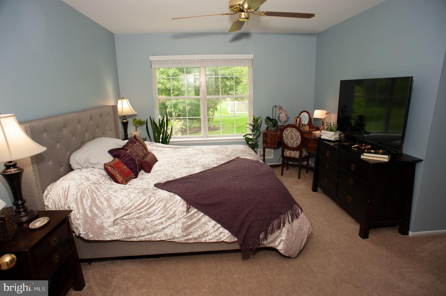 6 Wellington Property Photo 31