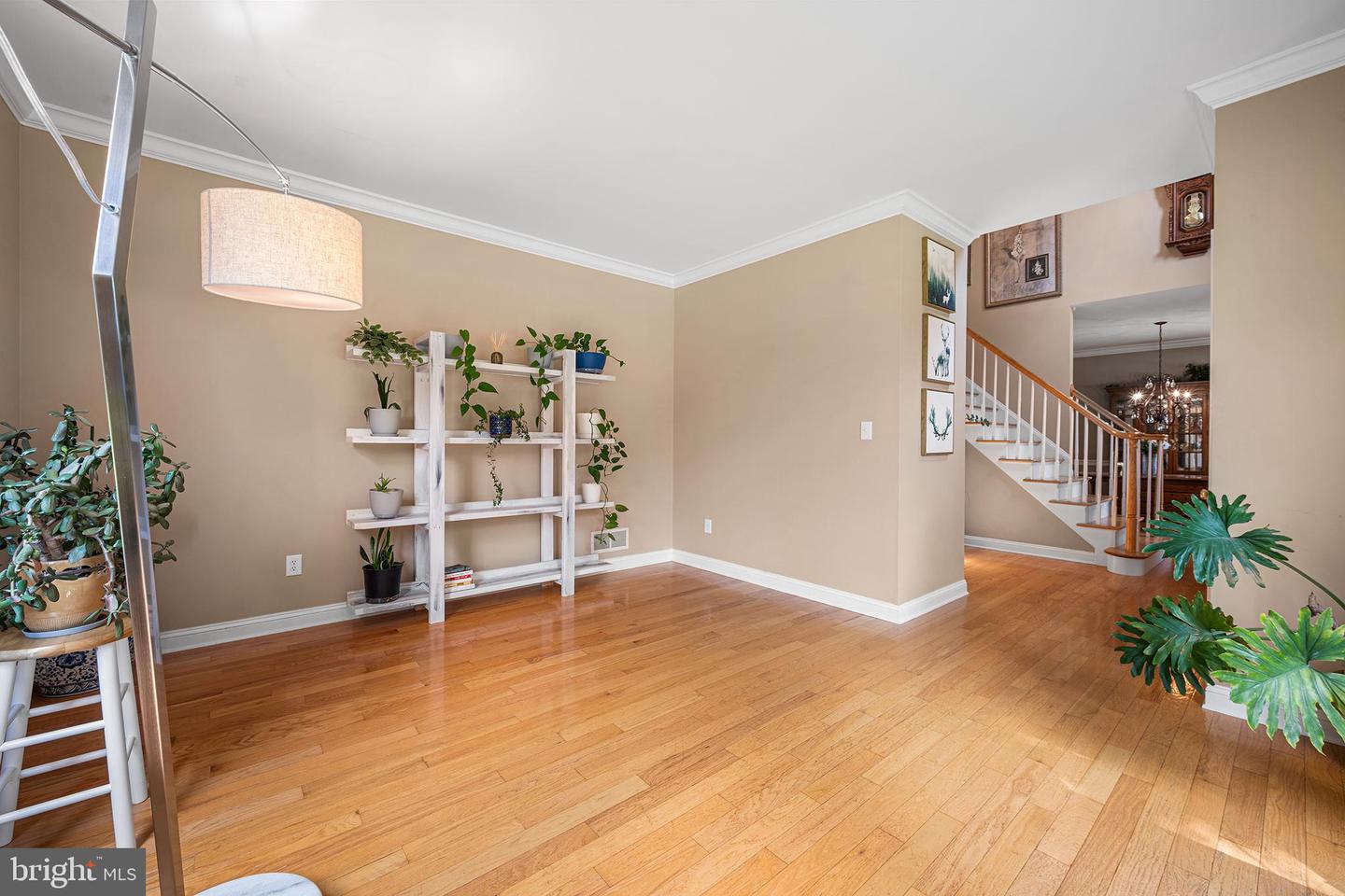 39 Chicory Ln Property Photo 10