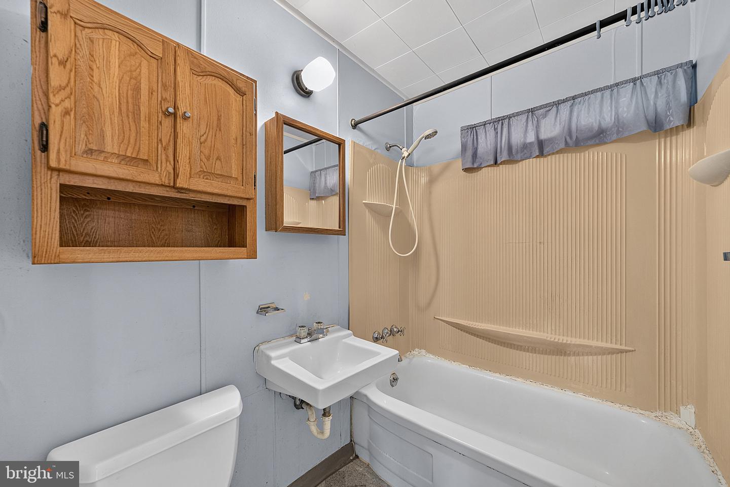 46 Dunmore Ave Property Photo 16