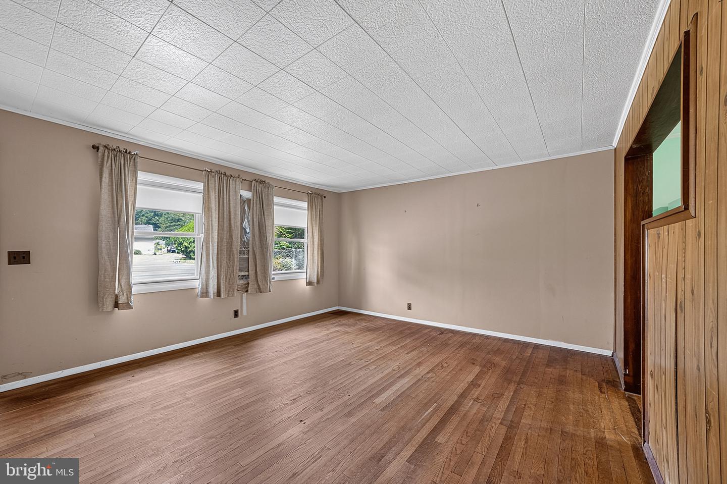 46 Dunmore Ave Property Photo 17