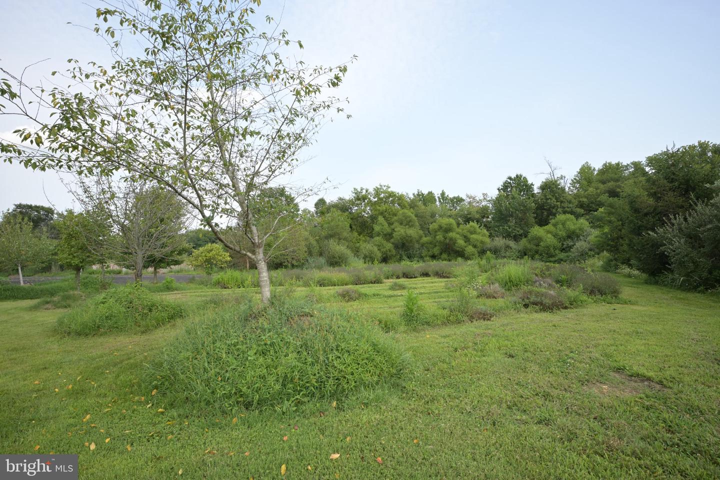 3 Circle Dr Property Photo 26