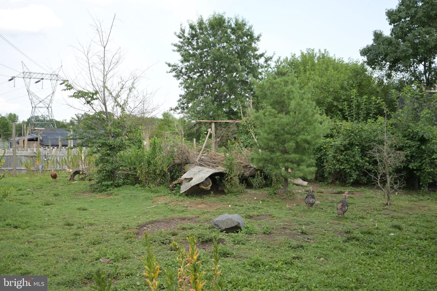 3 Circle Dr Property Photo 41