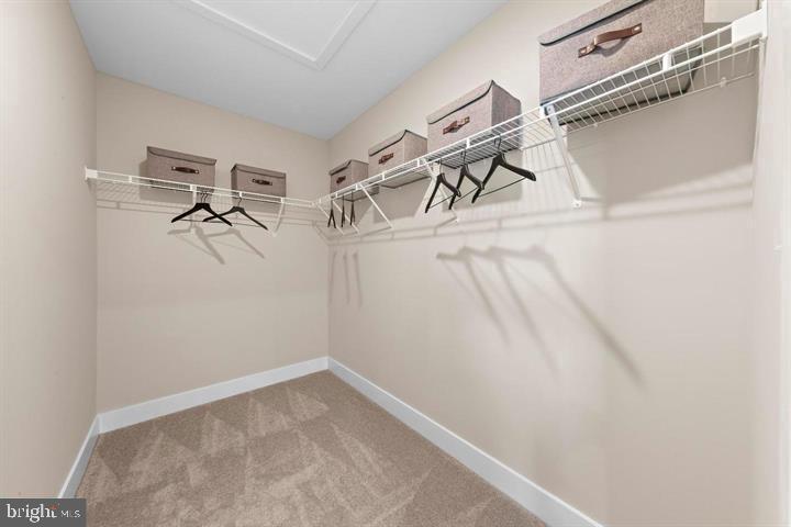 114 Earl Hubbard Dr Property Photo 29