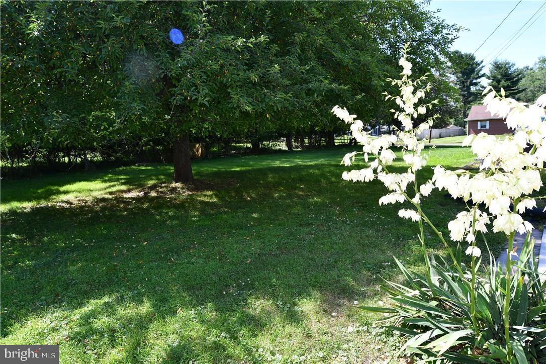 26 Morningside Dr Property Photo 44