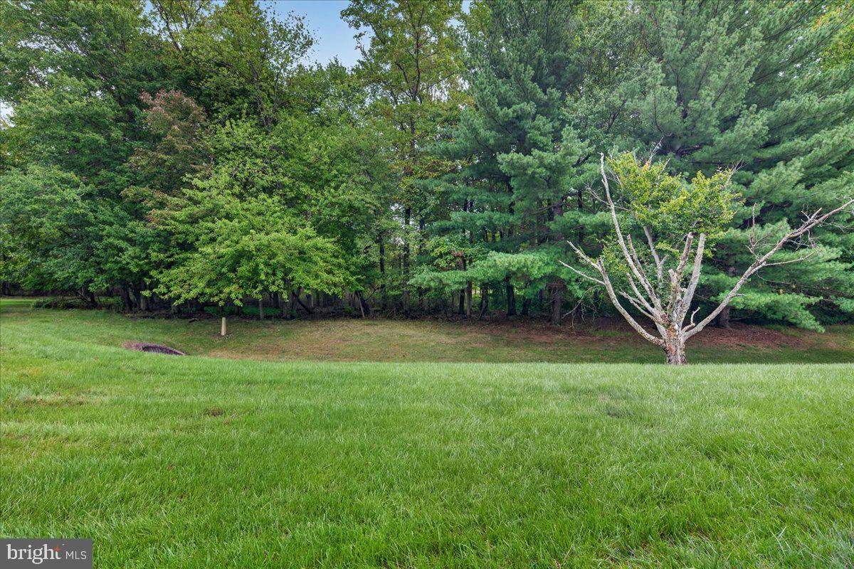 23 Westwinds Dr Property Photo 34