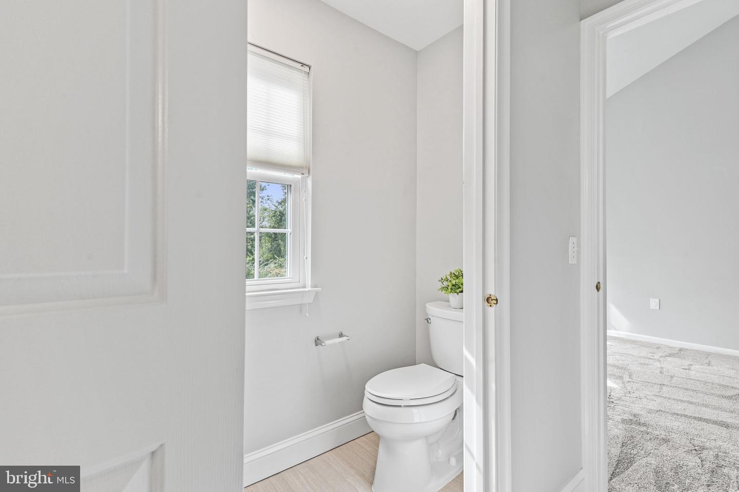 14 Hilton Ct Property Photo 22