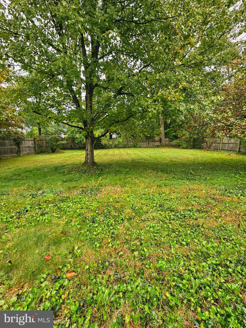 19 Dorann Ave Property Photo 21