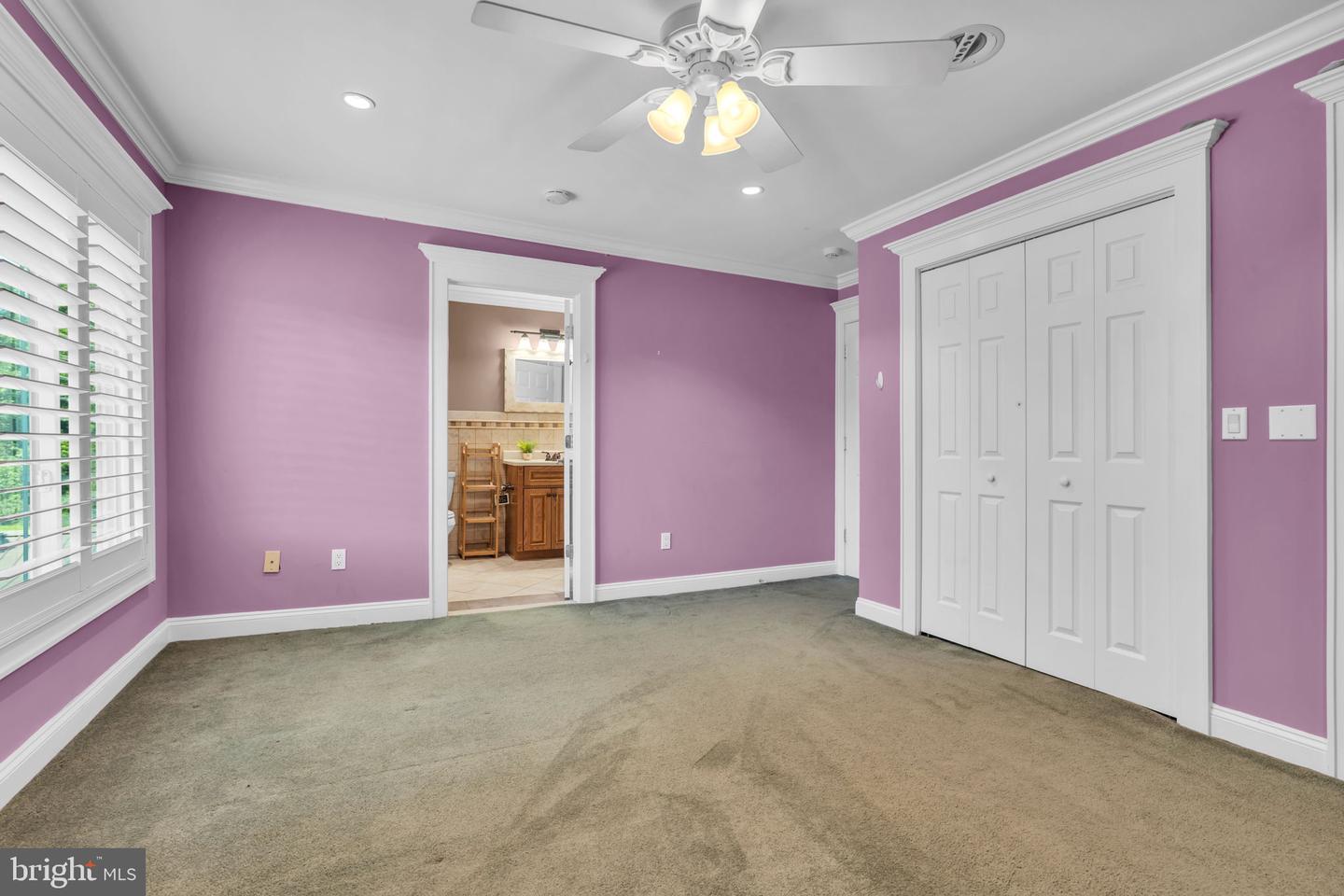 83 Daum Road Property Photo 50