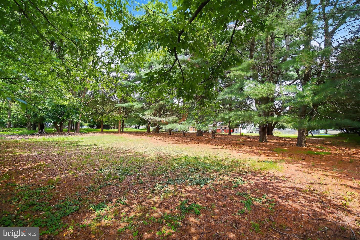 81 Ford Road Property Photo 29