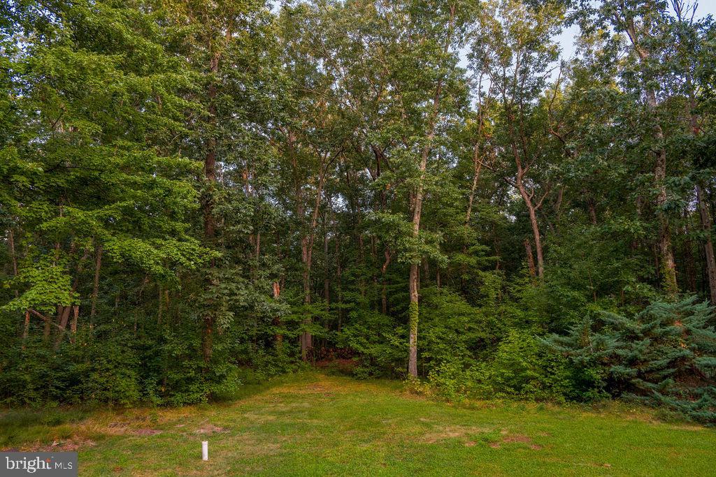 16 Pine Property Photo 55