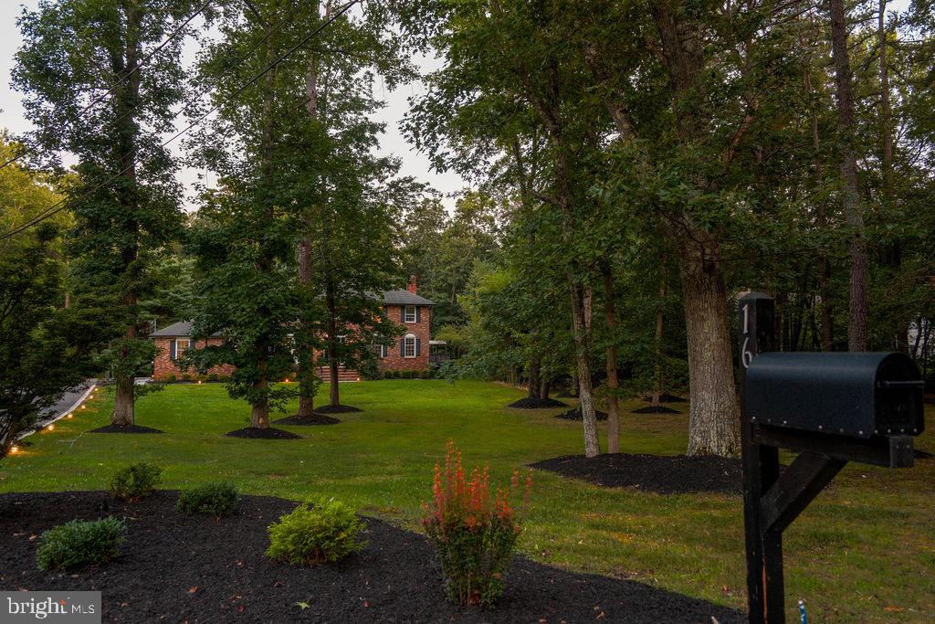 16 Pine Property Photo 100