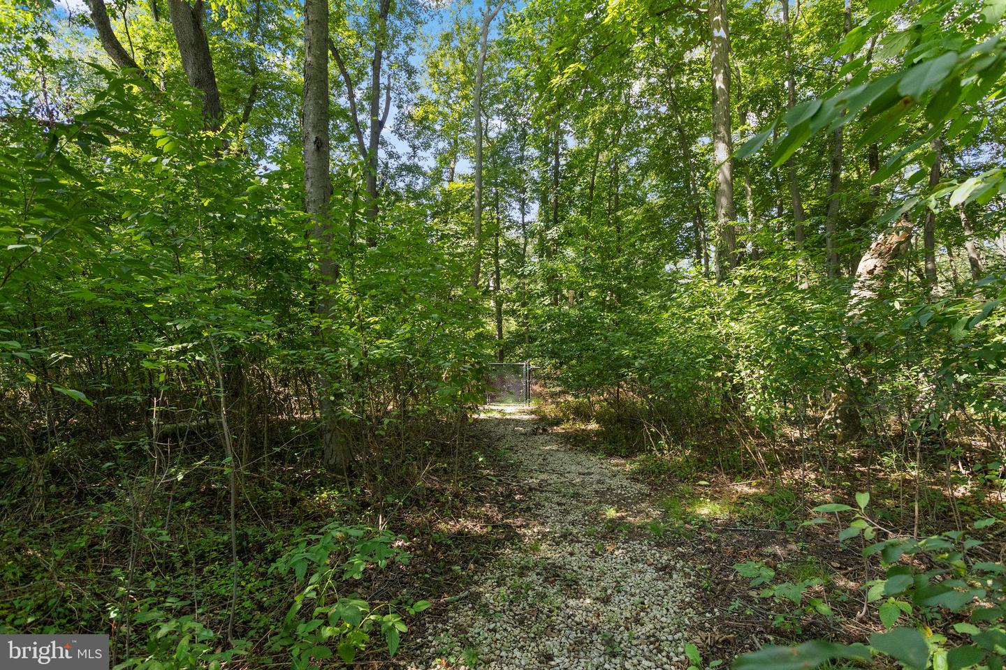 20 Hankins Farm Property Photo 55