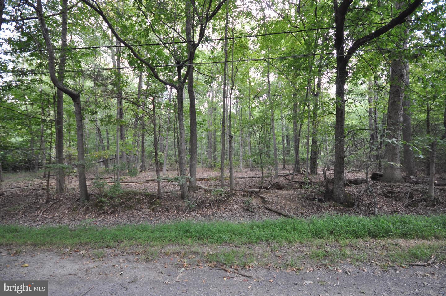 Finnegans Ln Ave B Property Photo 1