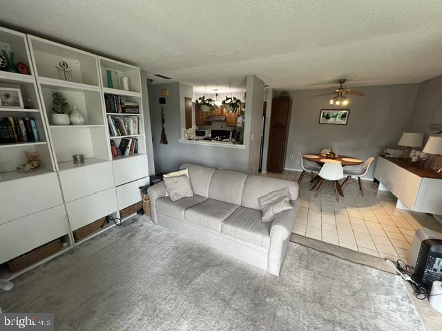 1009 Aspen Dr Property Photo 4