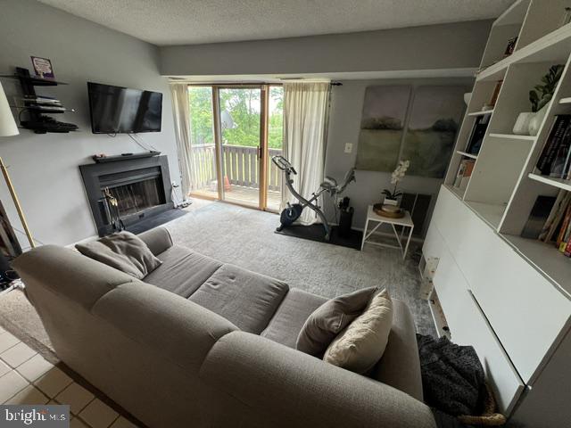 1009 Aspen Dr Property Photo 6