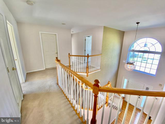 24 Skurka Ct Property Photo 22