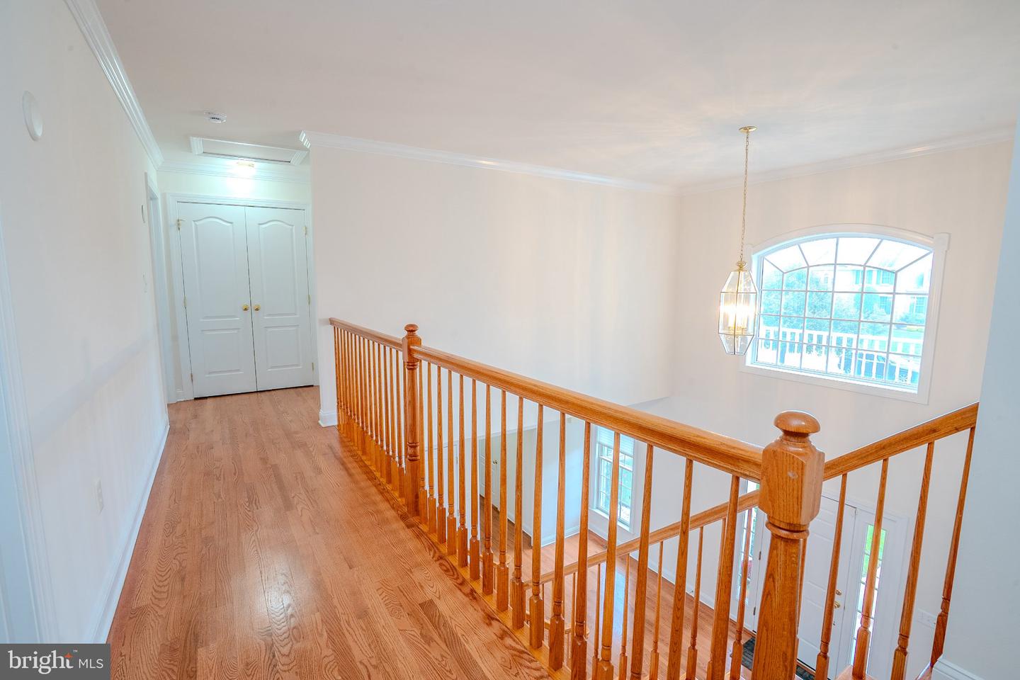 6 Byrne Ct Property Photo 64