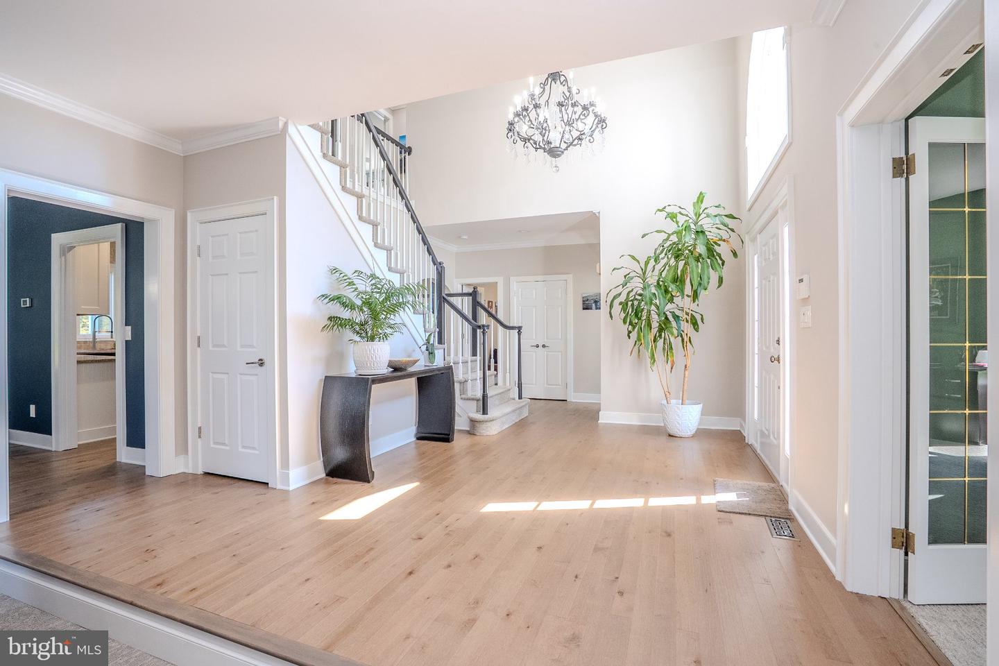 7 Bunting Ct Property Photo 31
