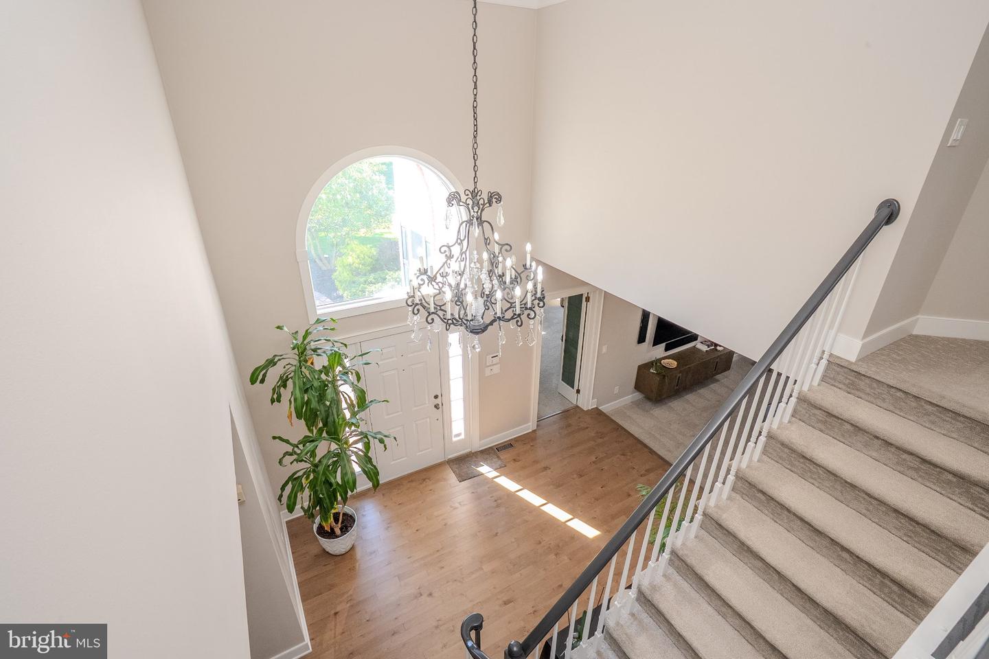 7 Bunting Ct Property Photo 62