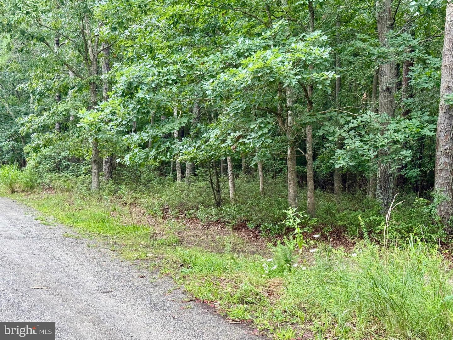 0 PINEWOOD Property Photo 1