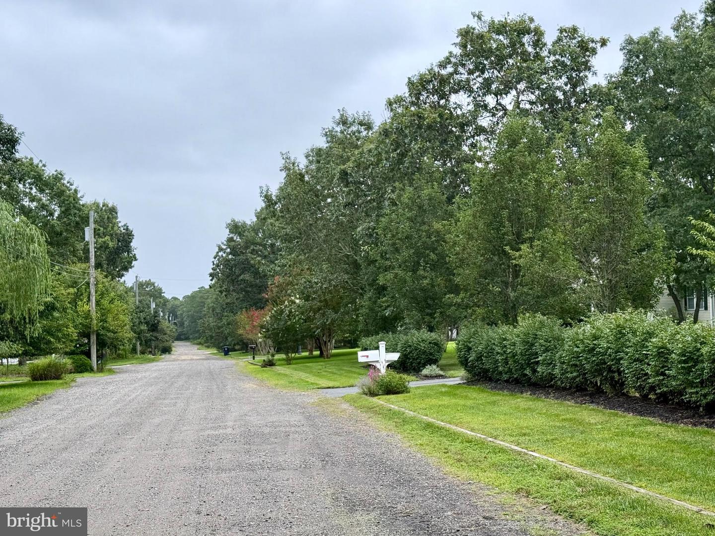 0 Pinewood Property Photo 8