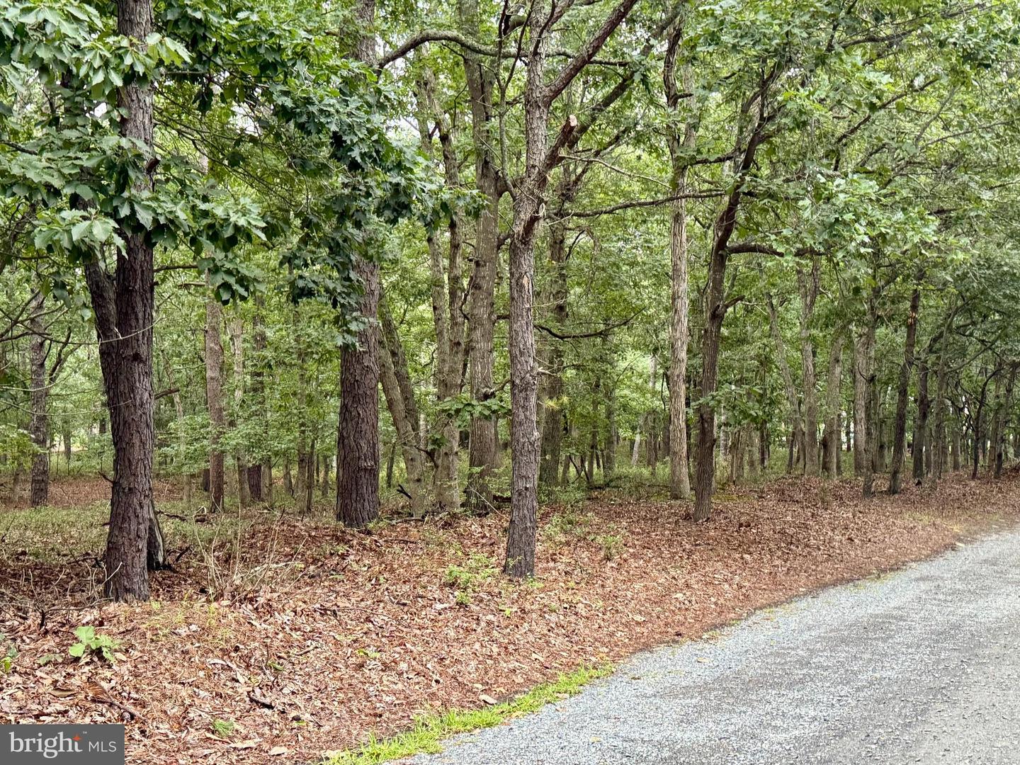 0 Pinewood Property Photo 9