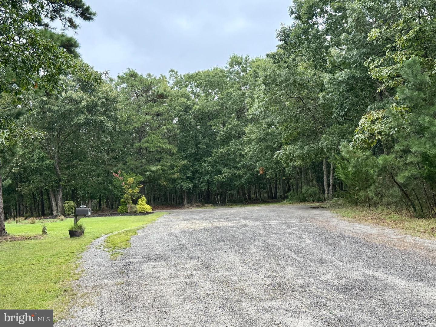 0 Pinewood Property Photo 10