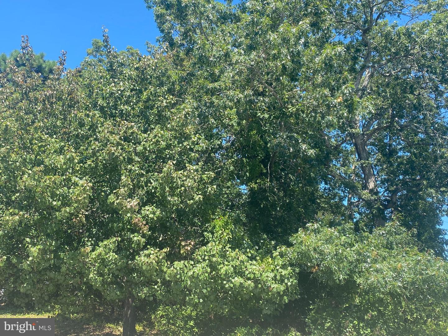 2018 Breakers Dr Property Photo 1