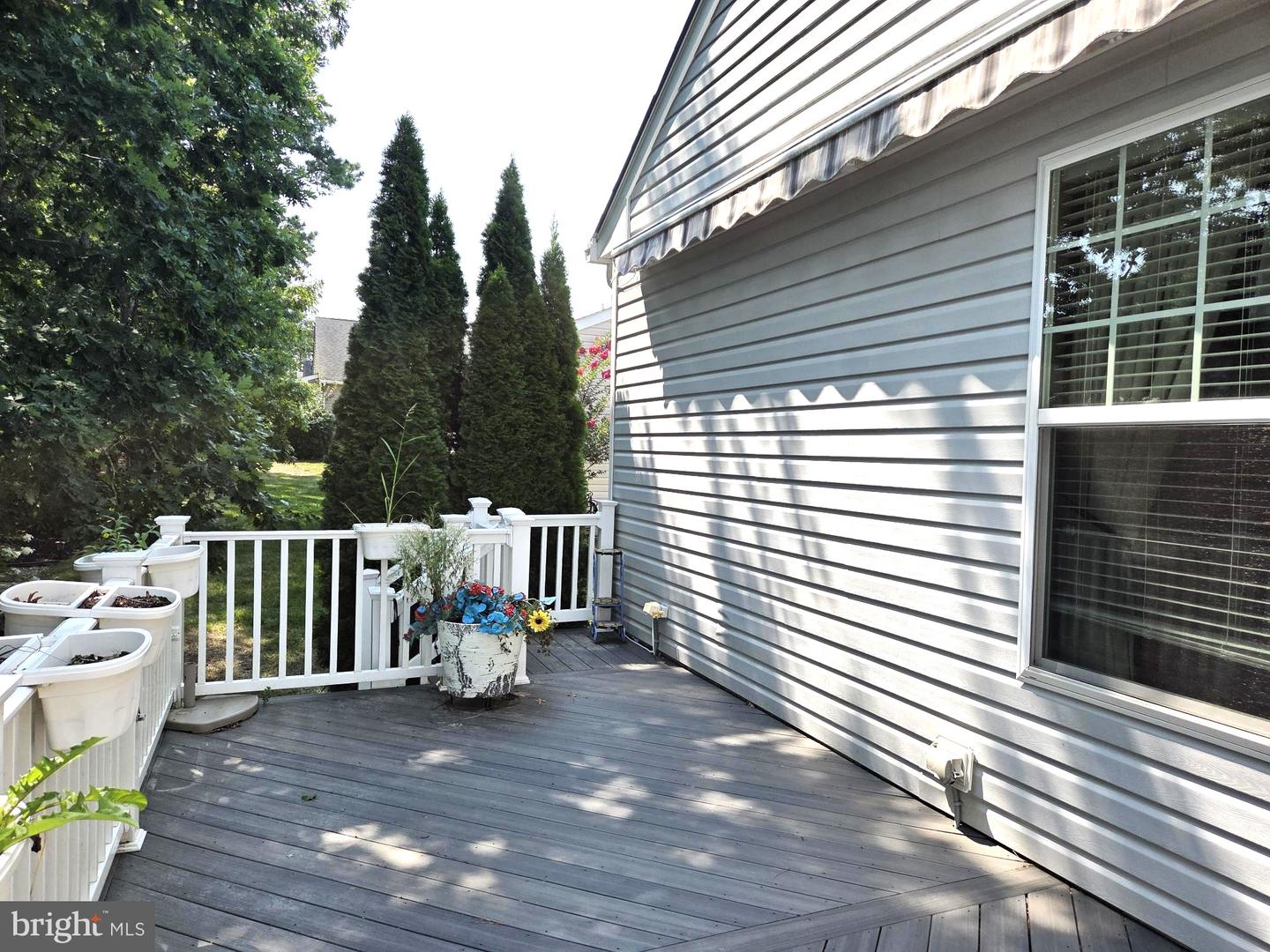 56 Hamble Road Property Photo 40