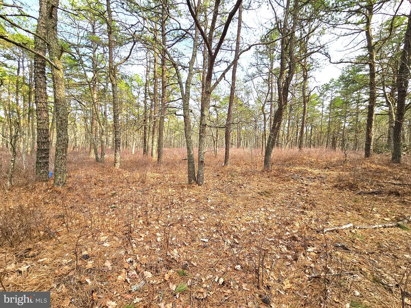 0 BIRCHWOOD Property Photo 1