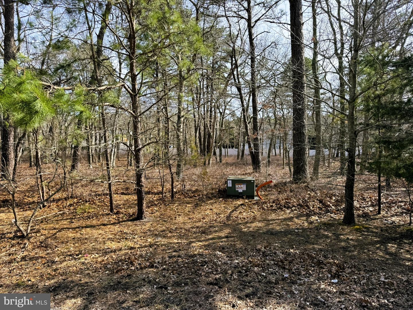 20 Pinewood Dr Property Photo 2