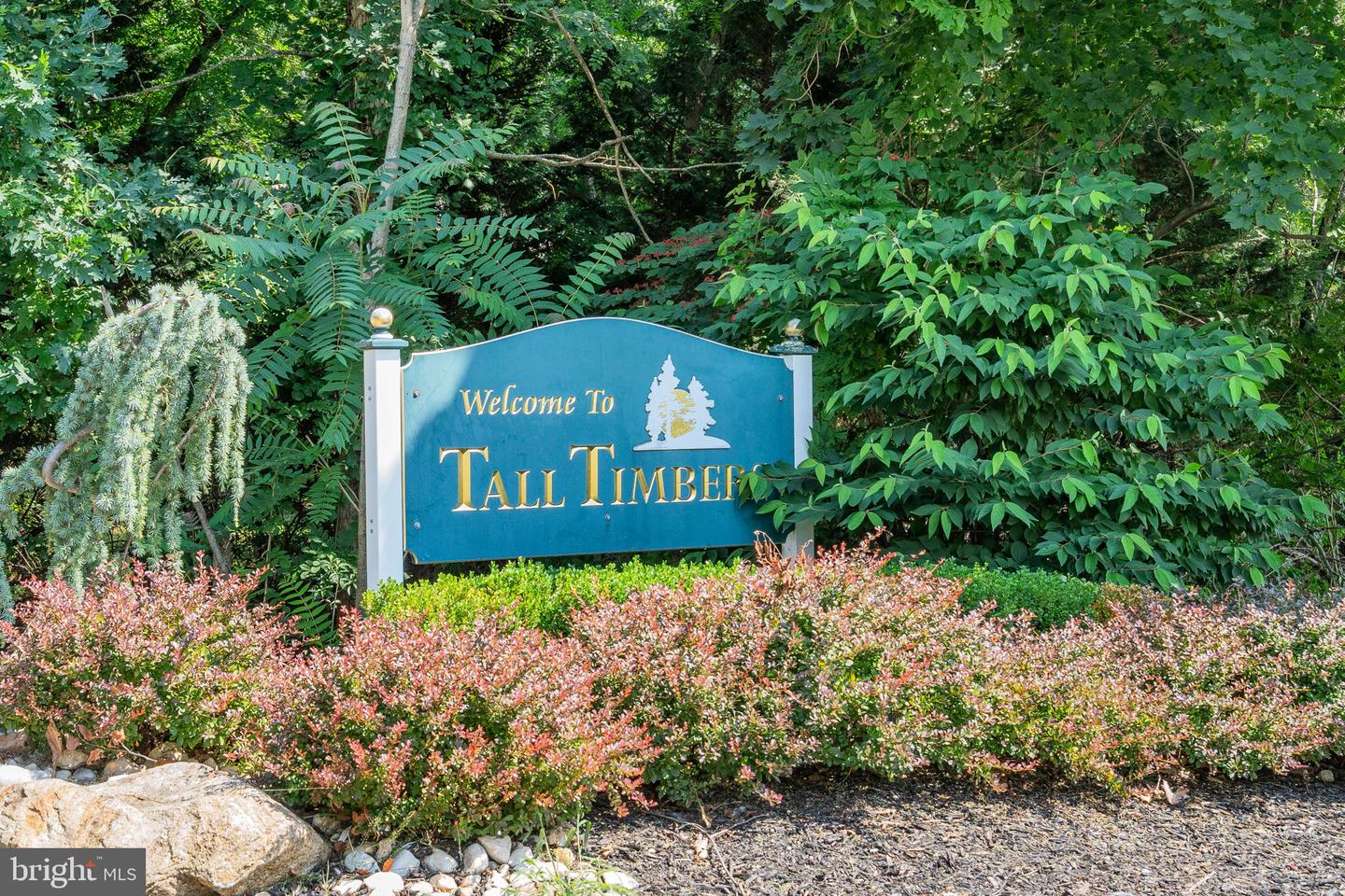 494 Meadowood Rd Property Photo 56