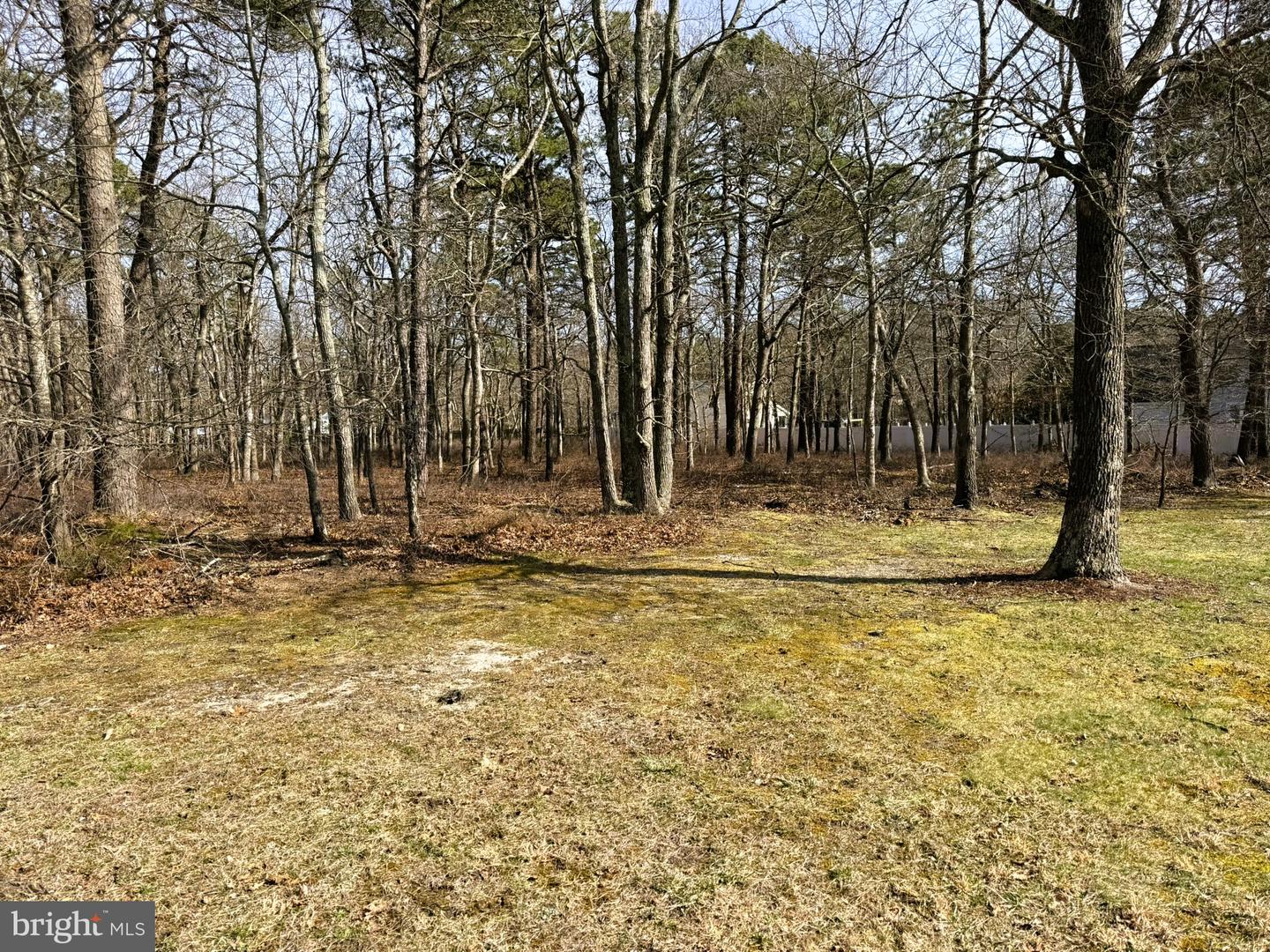 17 BIRCHWOOD DR Property Photo 1