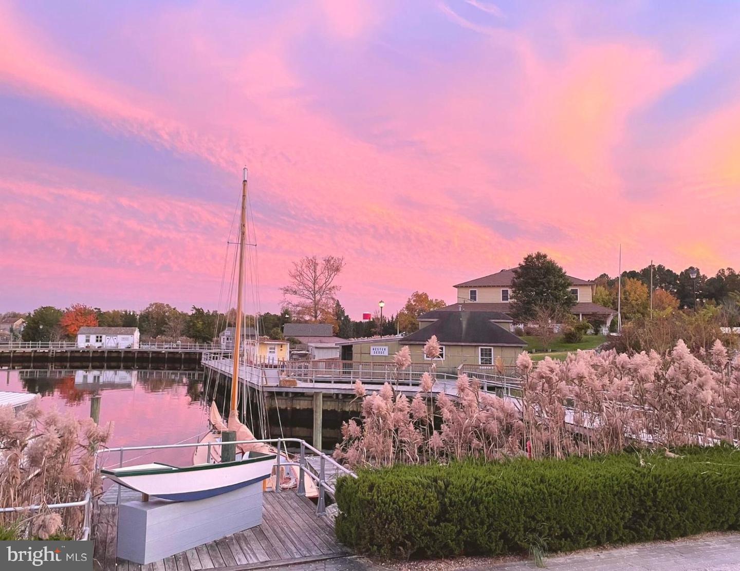 311 Beach Plum Ct Property Photo 26