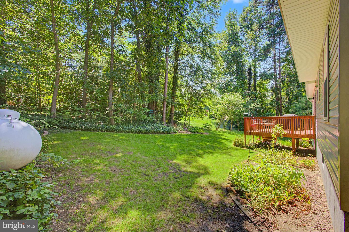 14 Reiner Rd Property Photo 31