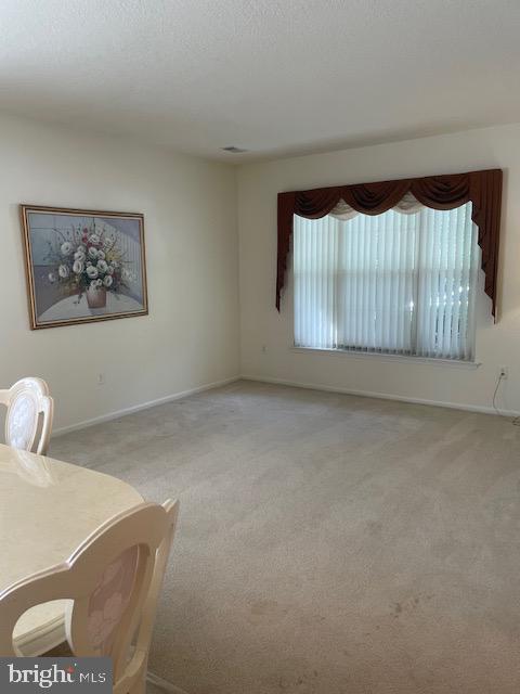 28 Spring Meadow Dr Property Photo 6