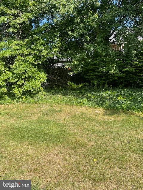 28 Spring Meadow Dr Property Photo 28