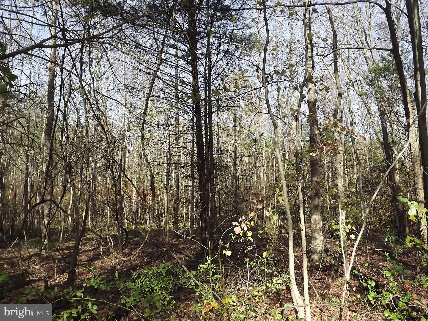 0 Yorketown Rd Property Photo 1