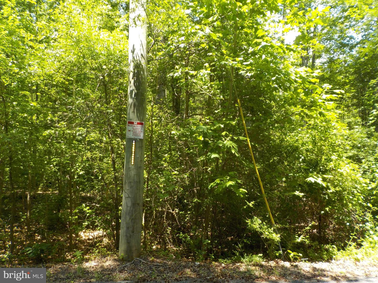 0 Yorketown Rd Property Photo 2