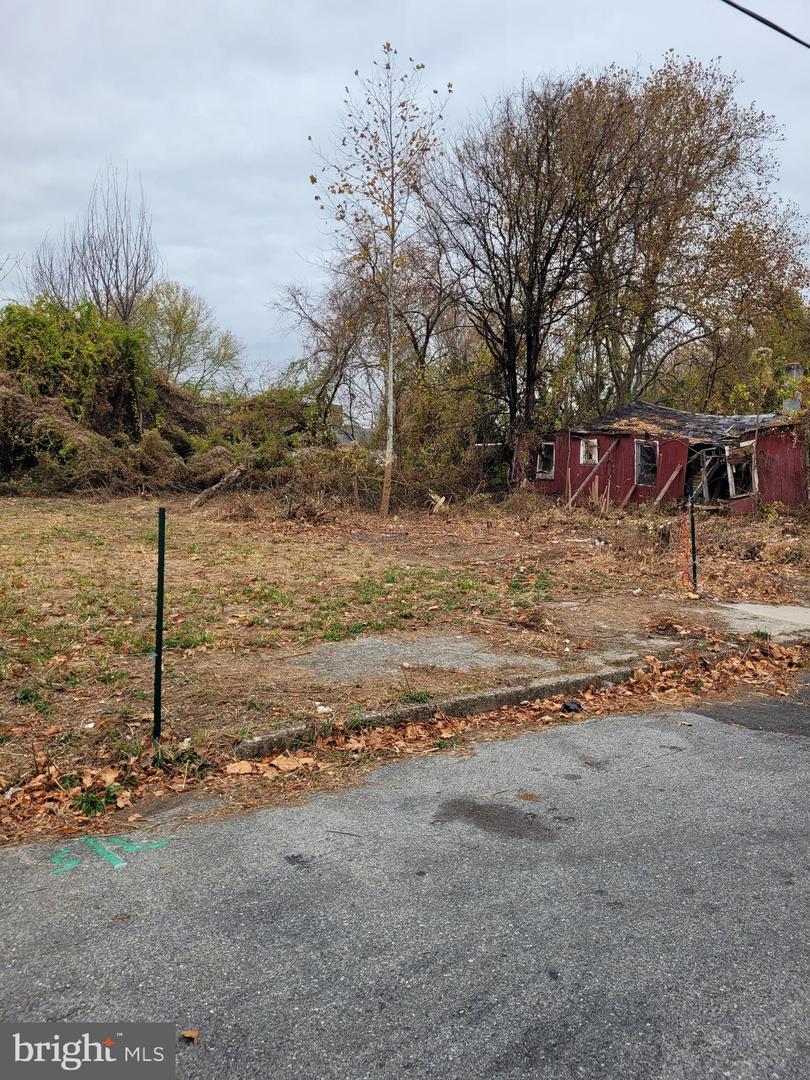34-38 Cumberland Ave Property Photo 5