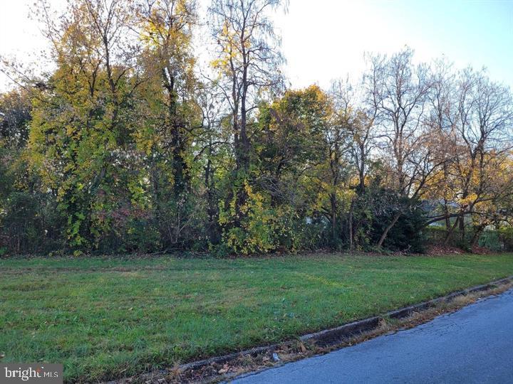 0 Lincoln Avenue & Cumberland Property Photo 2