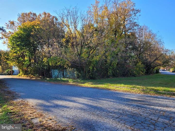 0 Lincoln Avenue & Cumberland Property Photo 3