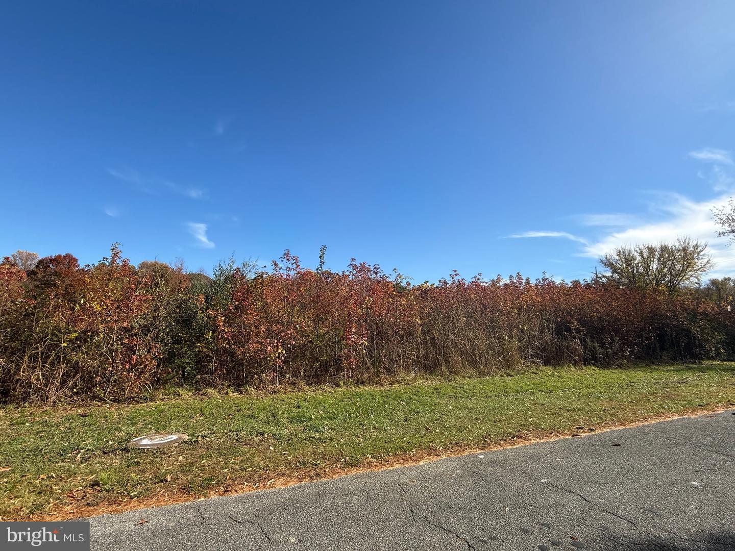 Quinton Alloway Rd Property Photo 1