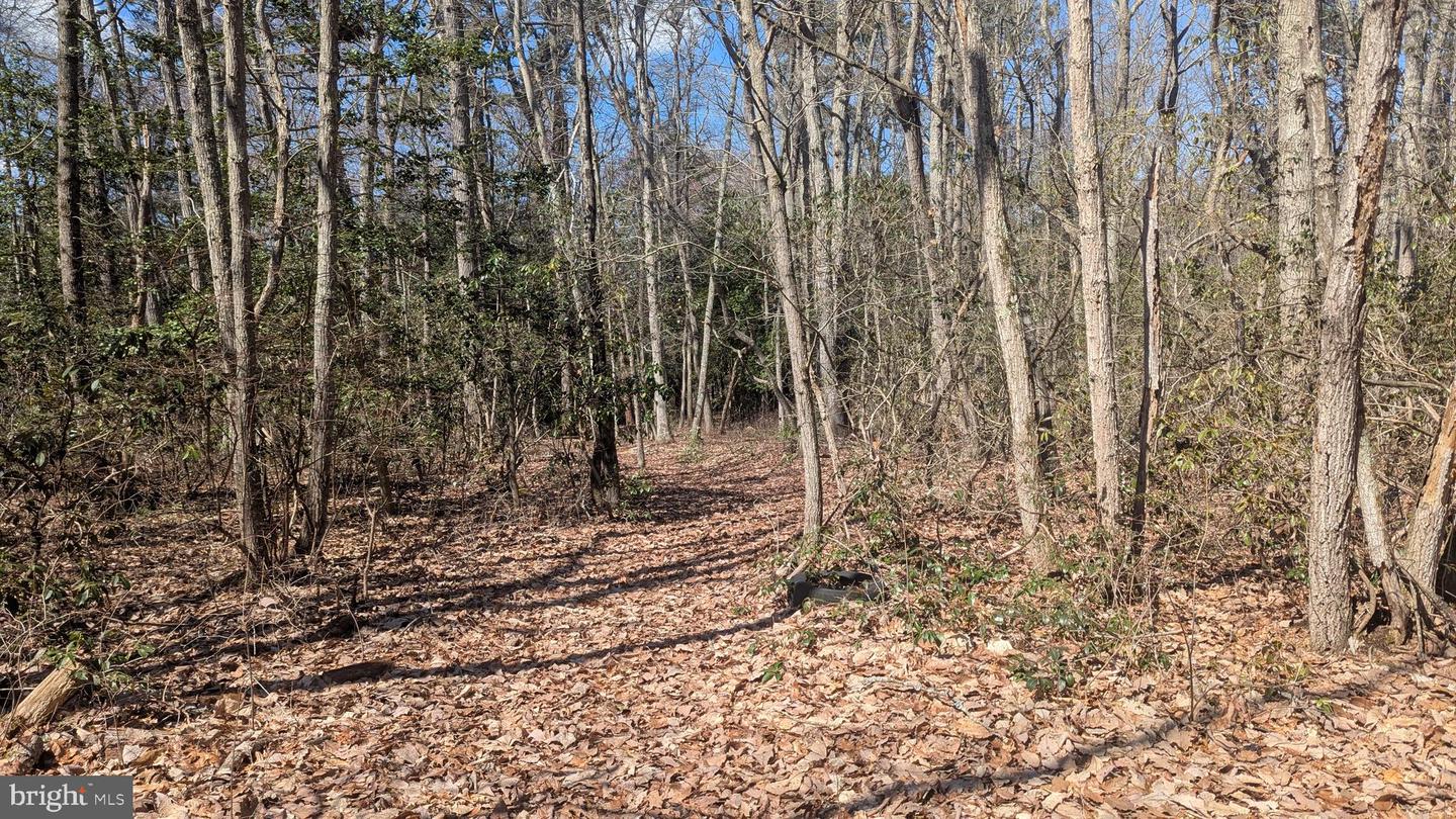 0 Cool Run Rd Property Photo 3