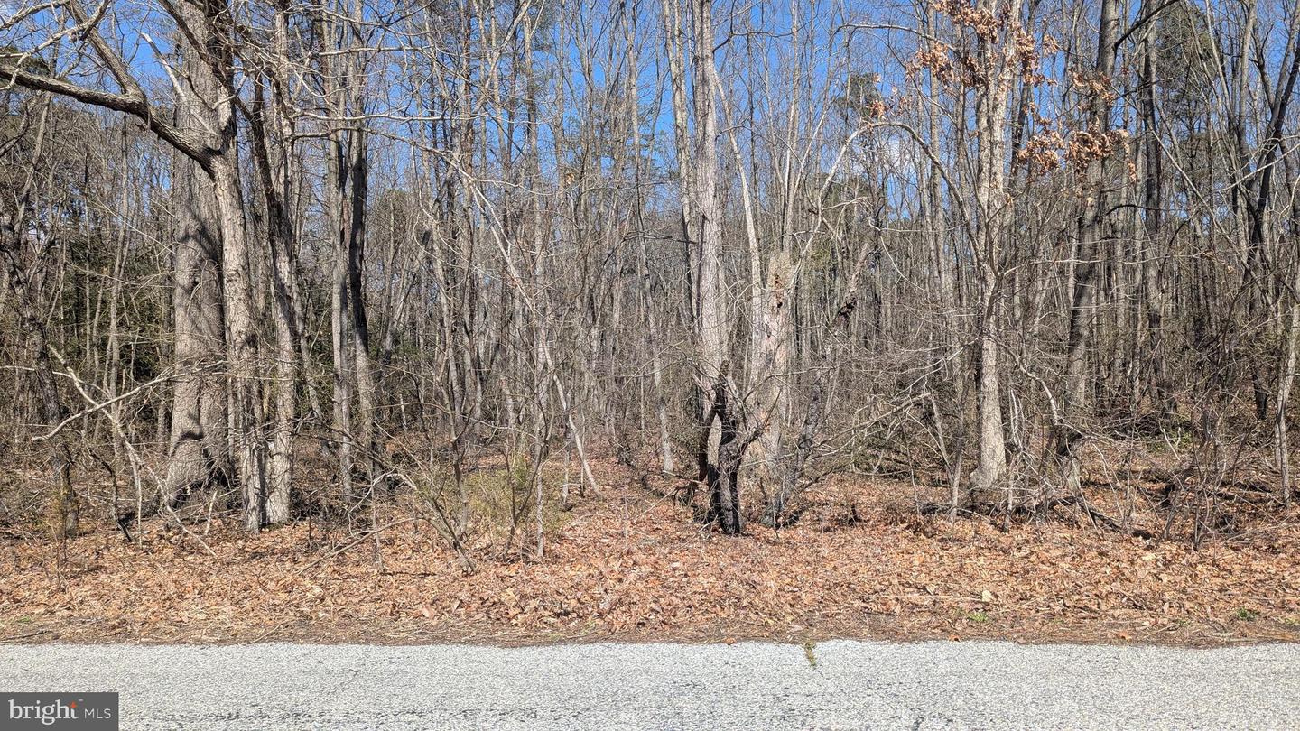 0 Cool Run Rd Property Photo 6