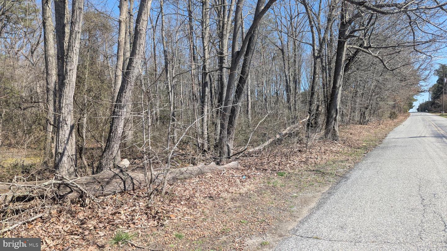 0 Cool Run Rd Property Photo 7